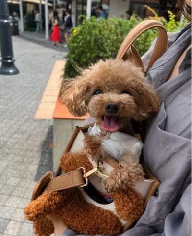 Bolso mascotabear™